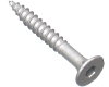 Batten screw galvanised 50mm