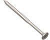 Batten screw stainless steel 100mm