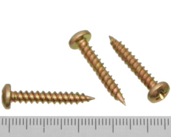 Pan head needle point screw 25mm