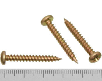Pan head needle point screw 30mm